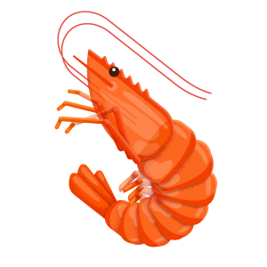 Shrimp