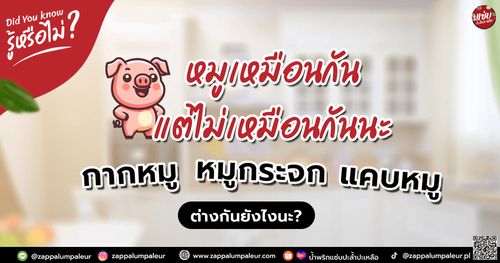 กากหมู หมูกระจก blog.png
