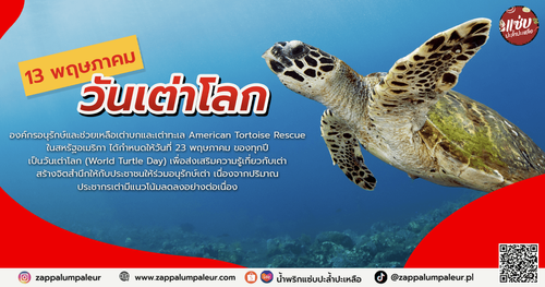 วันเต่าโลก blog copy.png